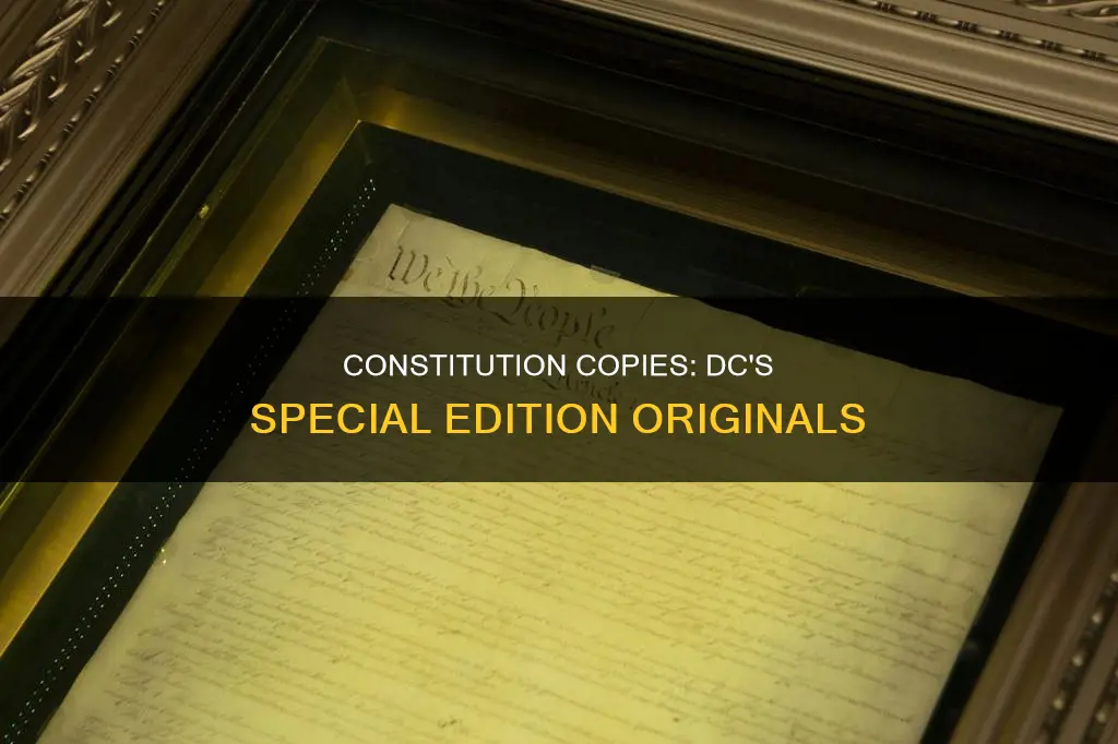 what is the copy of the constitution called in dc