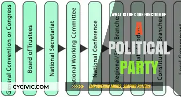 Understanding Political Parties: Their Core Functions and Roles in Democracy