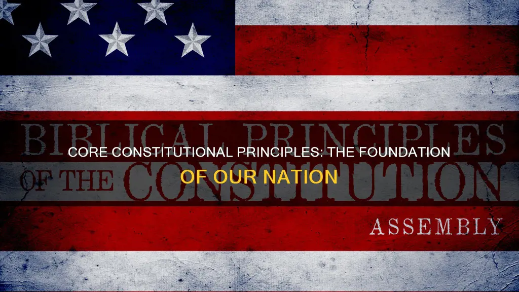 what is the core principles of the constitution