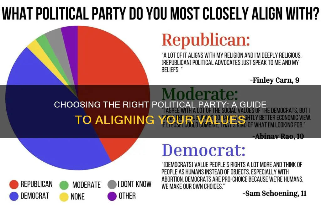 what is the correct political party