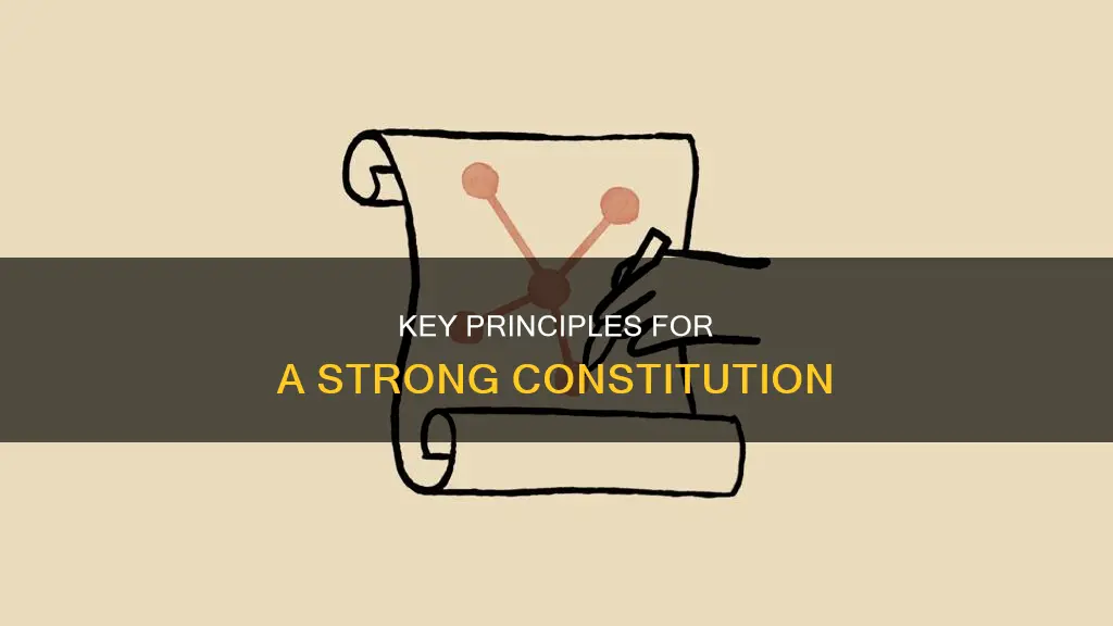 what is the criteria for a good constitution