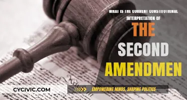 Interpreting the Second Amendment: What Does It Mean Now?