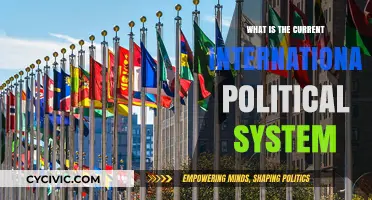 Exploring the Complex Landscape of Today's International Political System