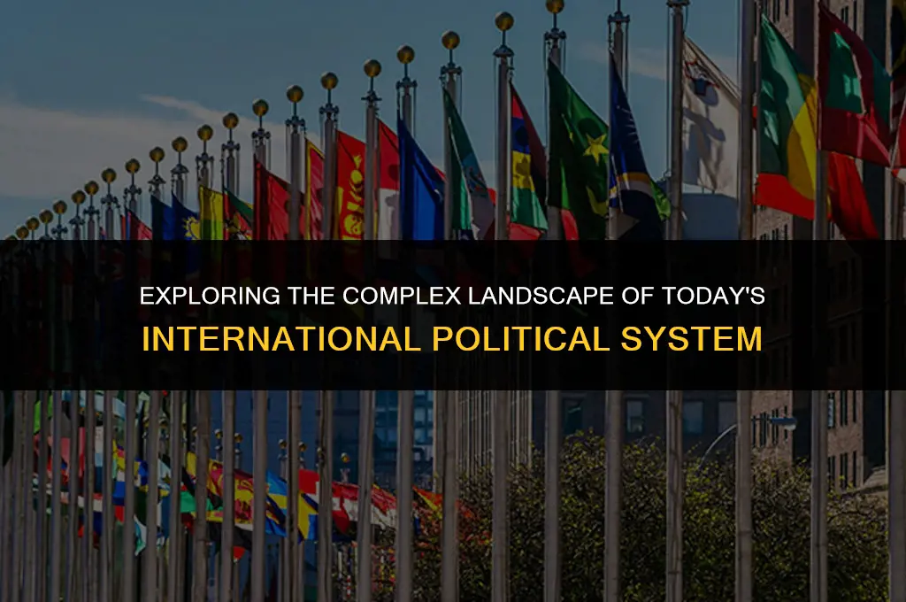 what is the current international political system