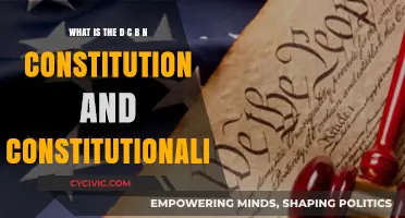 DCBN Constitution: Fundamentals of Constitutionalism