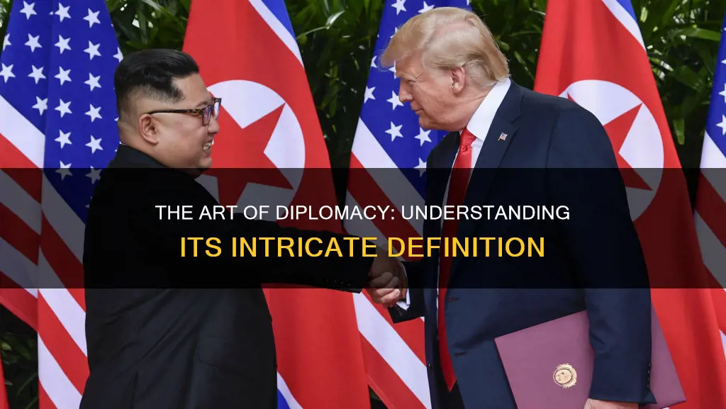 what is the definintion of diplomacy