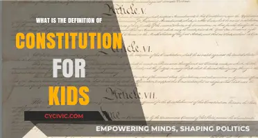 What's a Constitution? Understanding the Basics