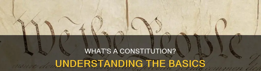 what is the definition of constitution for kids