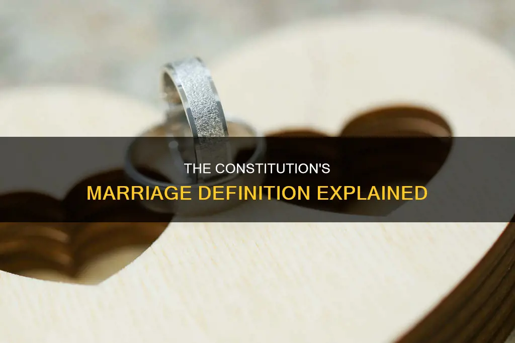 what is the definition of marriage in the constitution