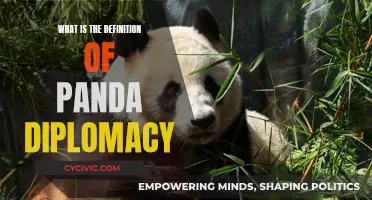 Panda Diplomacy: Understanding China's Unique Soft Power Strategy