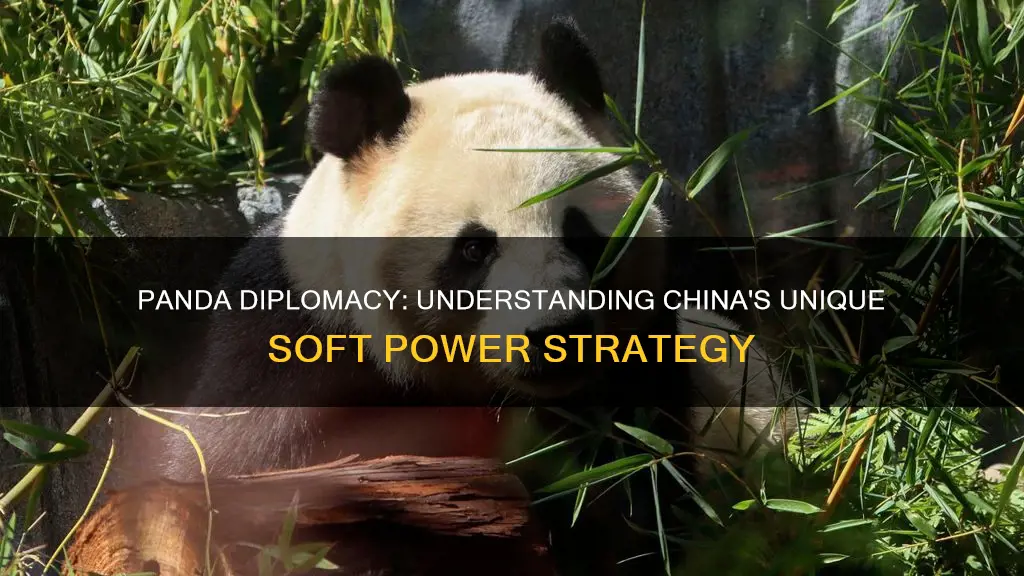 what is the definition of panda diplomacy