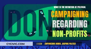 Political Campaigning: Non-Profits' Role and Definition
