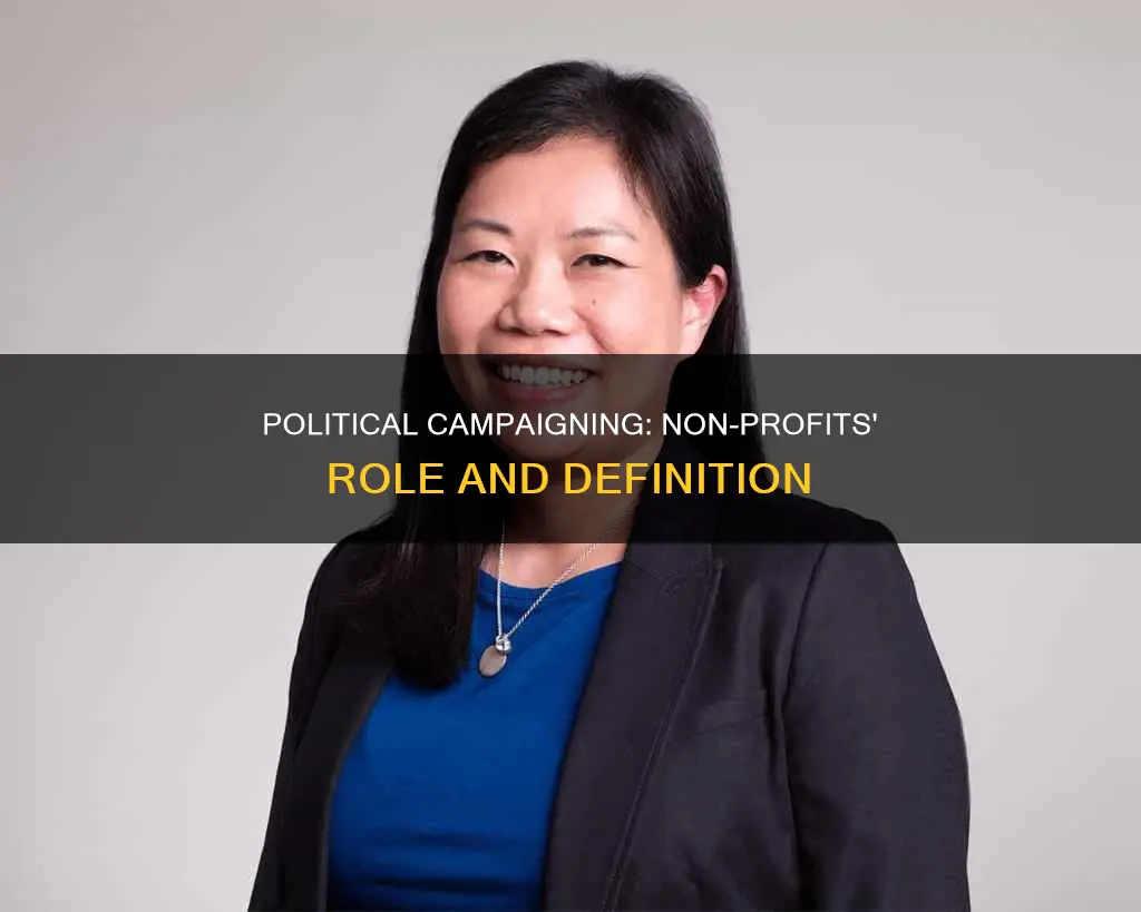 what is the definition of political campaigning regarding non-profits