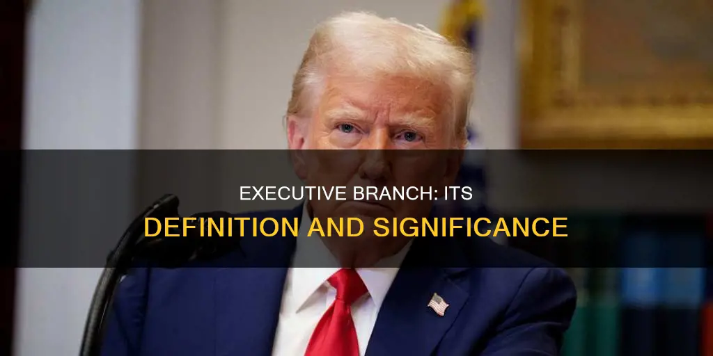 what is the definition of the executive branch