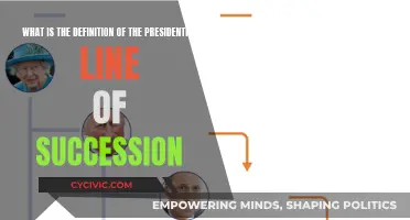 Who Steps Up? The US Presidential Succession Plan