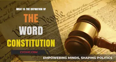 Understanding the Constitution: Its Definition and Significance