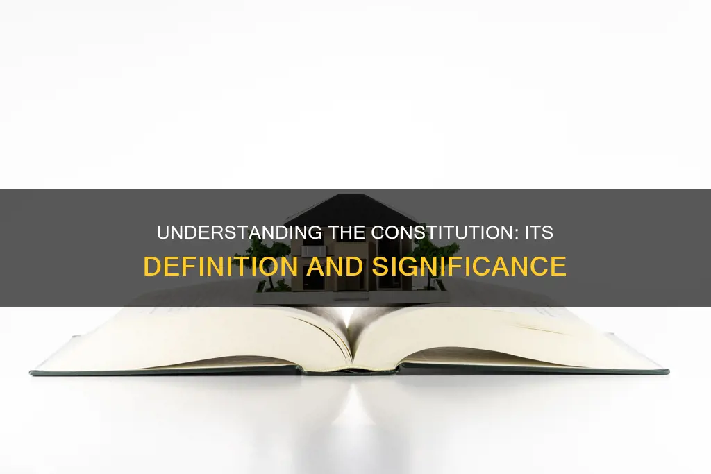 what is the definition of the word constitution