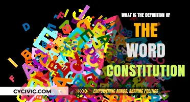 The Core Principles of Constitutionalism Explained