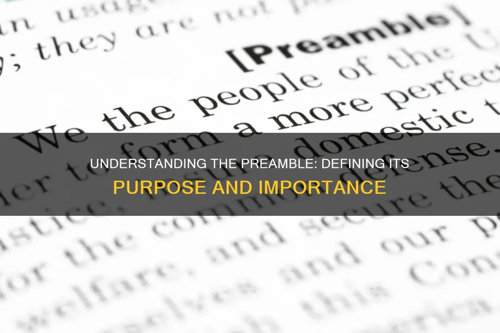 what is the definition of the word preamble