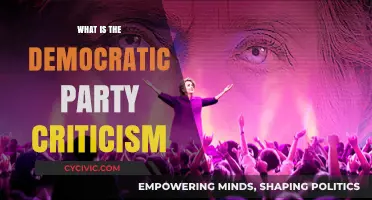 Understanding Criticisms of the Democratic Party: Key Issues and Perspectives