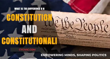 Constitution vs Constitutionalism: What's the Difference?