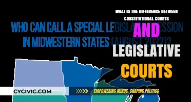 Constitutional vs Legislative Courts: Nature and Powers