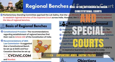 Special and Constitutional Courts: What's the Difference?