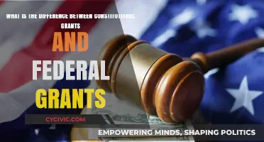 Constitutional vs Federal Grants: What's the Difference?