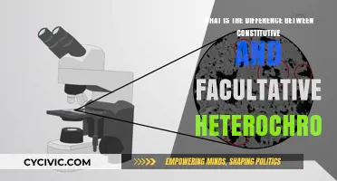 Exploring the Chromatin Dichotomy: Constitutive vs Facultative