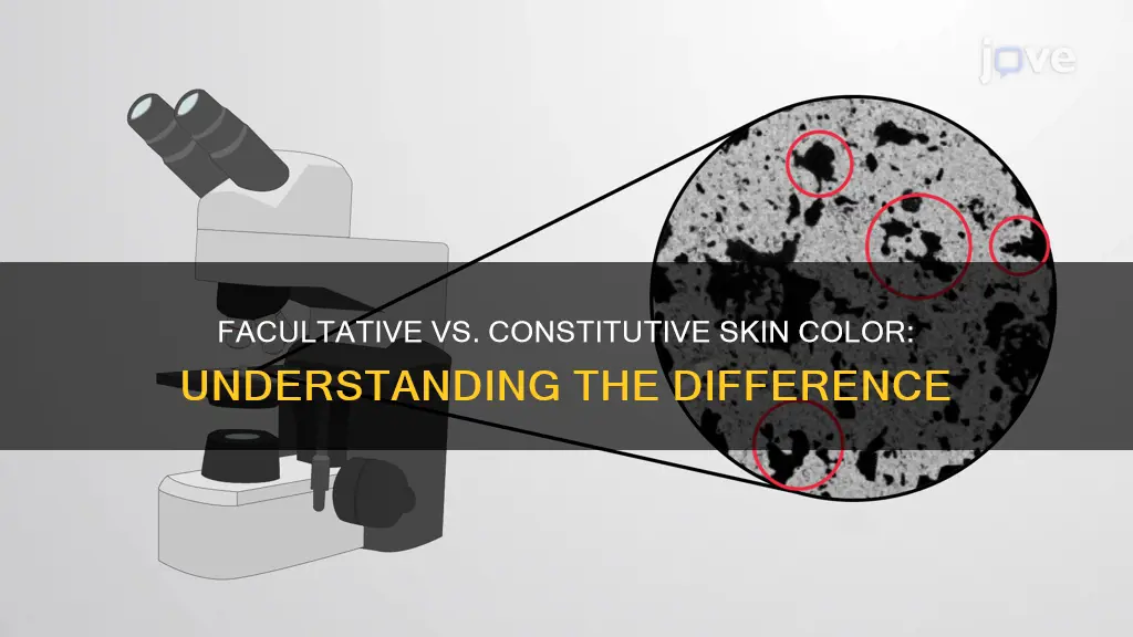 what is the difference between constitutive and facultative skin color