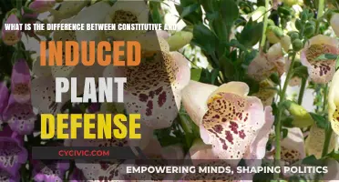 Plant Defense: Constitutive vs Induced Mechanisms