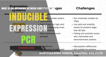 Constitutive vs Inducible Expression: PCR's Dynamic Duo