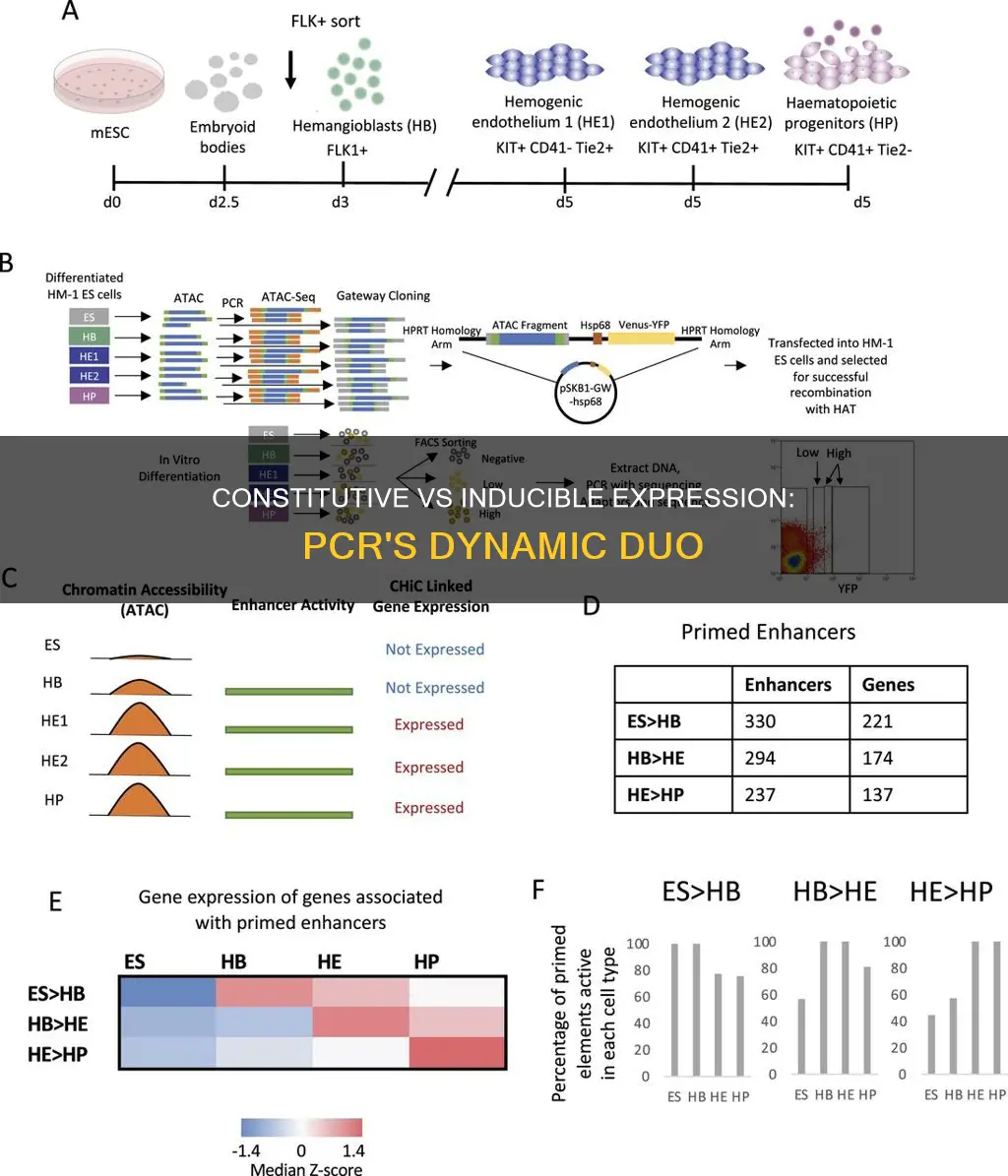 what is the difference between constitutive and inducible expression pcr