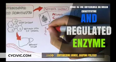 Constitutive vs Regulated Enzymes: Understanding the Key Difference
