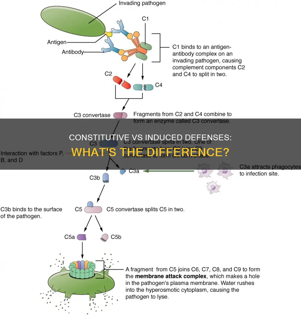 what is the difference between constitutive defenses and induced defenses