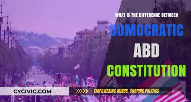 Understanding Democracy and Constitutional Governance