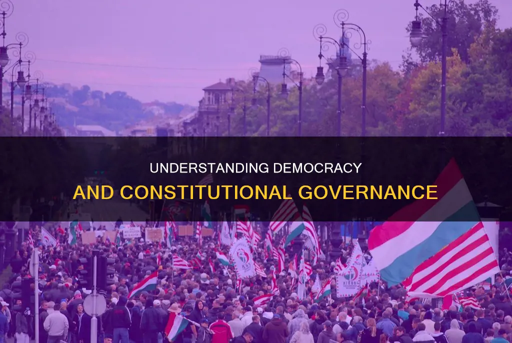 what is the difference between domocratic abd constitutional