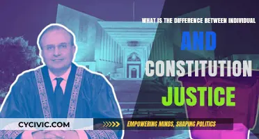 Individual vs Constitutional Justice: What's the Difference?