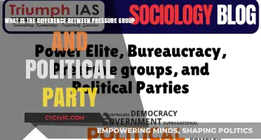 Pressure Groups vs. Political Parties: Key Differences Explained