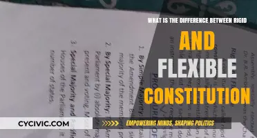 Rigid vs Flexible Constitution: Understanding the Core Distinction
