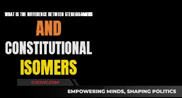 Stereoisomers vs Constitutional Isomers: Understanding Molecular Differences