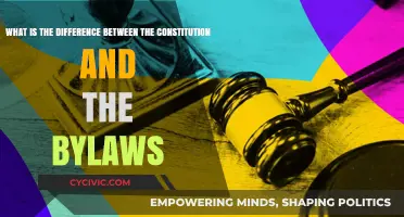 Understanding the Distinction: Constitution vs Bylaws
