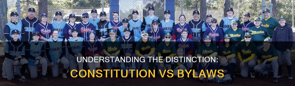 what is the difference between the constitution and the bylaws