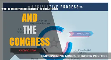 Understanding the US Constitution and Congress
