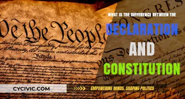 Foundational Differences: Declaration and Constitution