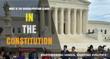 Understanding the Constitution's Disqualification Clause