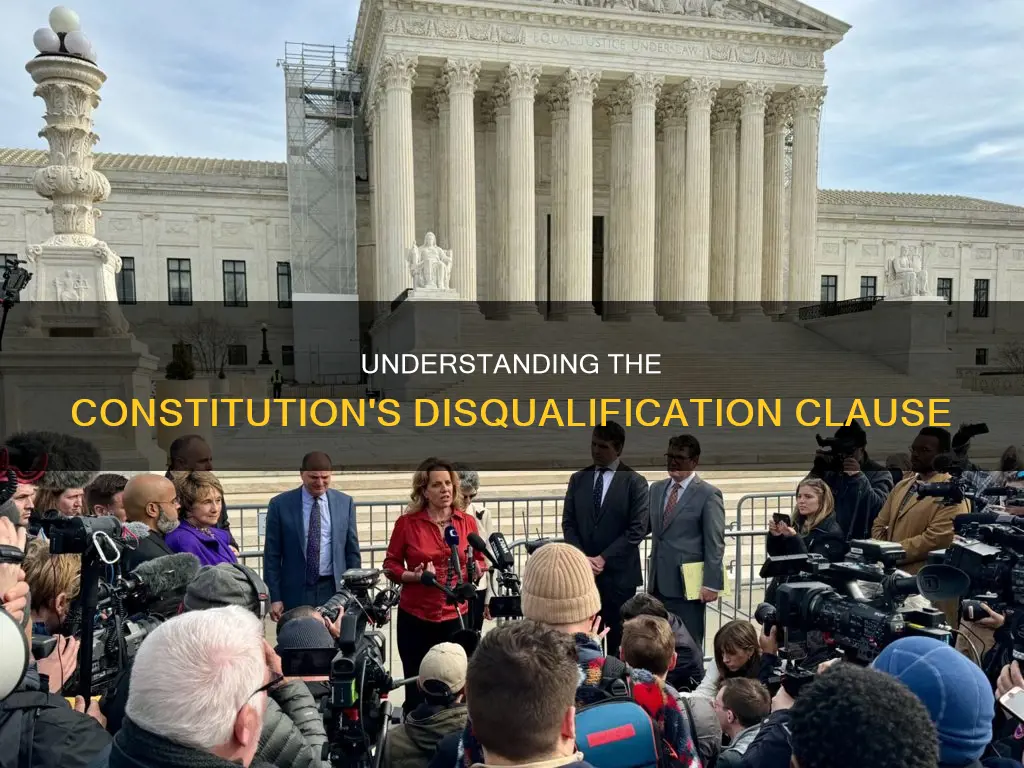 what is the disqualification clause in the constitution