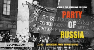 Russia's Political Landscape: The Dominant Party and Its Influence