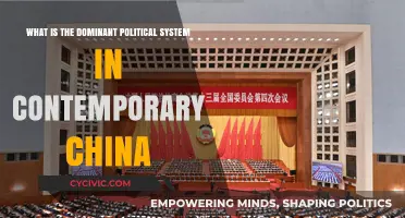 Exploring China's Political Landscape: A Look at the Dominant System