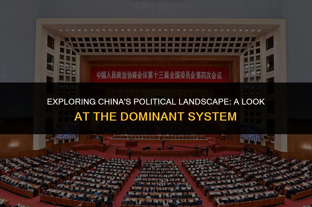 what is the dominant political system in contemporary china